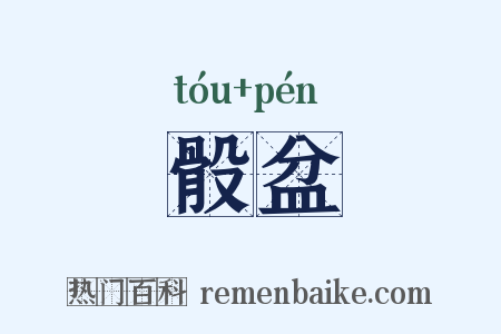 骰盆是什么意思的图片